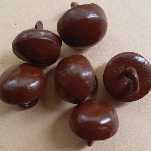 10 braune alte Schuhschnallenknöpfe